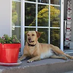 Bed & Breakfast Kilcatten Kilbrittain