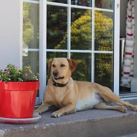 Bed & Breakfast Kilcatten Kilbrittain