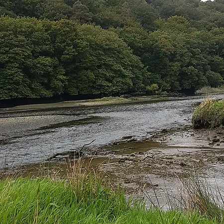 住宿加早餐酒店 Kilcatten