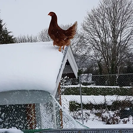 Kilcatten Kilbrittain