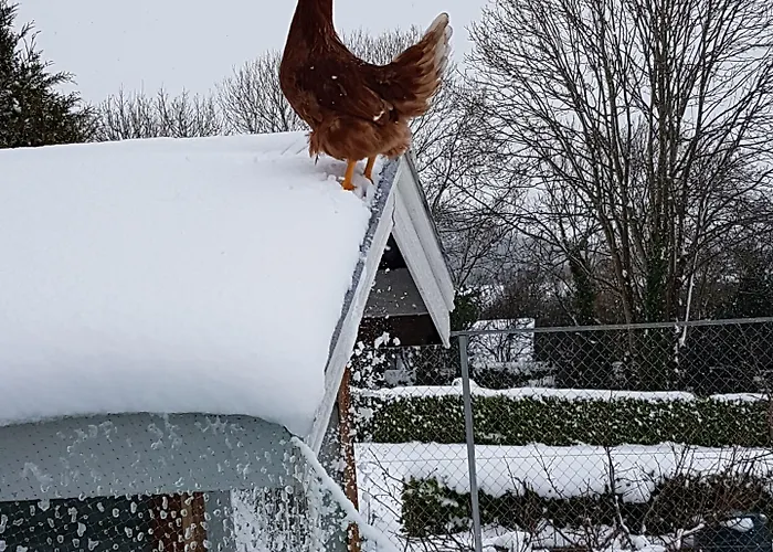 Kilcatten Kilbrittain